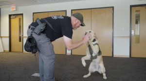Niko et l'inspecteur Matt Fleming